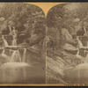 Cascade on the brook.