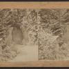 Cave, Central Park.