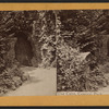 The cave, Central Park.
