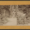 The cave, Central Park.