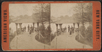 Landing arbor, Central Park.