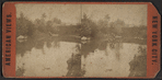 The lake, Central Park.