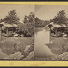 Rustic arbor, Central Park, N.Y.