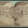 The cave, looking south.