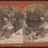 Cascade, Central Park, N.Y.