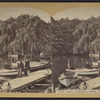 The lake, Central Park, N.Y.