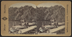 The lake, Central Park, N.Y.
