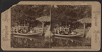 Boat landing at the lake, Central Park, N.Y.