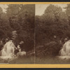 Cascade in Central Park, N.Y.