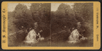 Cascade in Central Park, N.Y.