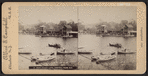 Boathouse lake, Central Park, N.Y.