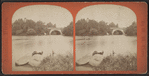 Arch bridge.