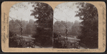 Central Park (Upper lake), New York, N.Y., U.S.A.