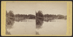Central Park scenery, N.Y.