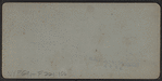 Boat landing at the lake, Central Park, N.Y.