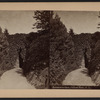 Entrance to cave, Central Park, N.Y.