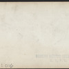 View of the upper part of Central Park. [Garden view.]