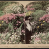 Earth's choicest gifts to man, in the Conservatory, Central Park, N.Y. [Hand-colored view.]
