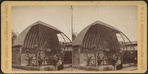Central Park scenery, N.Y. [Menagerie.]