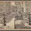 Drinking fountain, Central Park, N.Y.