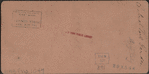 Stereoscopic views of structures in Central Park, New York City.