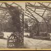 Rustic arbor, near the play-ground, Central Park. Interior view.