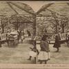 Rustic summer house, Central Park, N.Y. [Women and children in the arbor.]