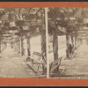 Vine clad arbor, Central Park, N.Y.