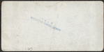 Rustic summer house, Central Park, N.Y. [Interior view.]
