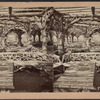 Rustic arbor, Central Park.