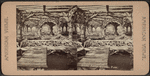 Rustic arbor, Central Park.