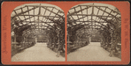Art and landscape scenery, Central Park, N.Y. Rustic arbor.