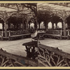 Interior view, vine clad arbor.