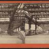 Central Park, N.Y. [Vine covered arbor, interior.]