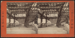 Central Park, N.Y. [Vine covered arbor, interior.]