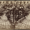 Stereoscopic views of structures in Central Park, New York City.