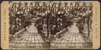 Stereoscopic views of structures in Central Park, New York City.