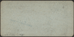 Water works, New York City. [Reservoir, Central Park.]