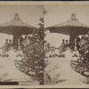 Group poses under arbor umbrella.