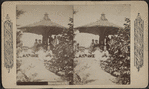Group poses under arbor umbrella.