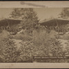 Rustic shelter, Central Park, N.Y.