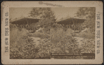 Rustic shelter, Central Park, N.Y.