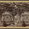 Vine clad arbor, Central Park, N.Y. [Hand-colored interior view.]