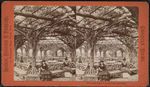 Vine clad arbor, Central Park, N.Y.
