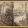 View in Central Park.
