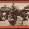 View in Central Park, N.Y.