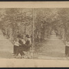 The Rambles, Central Park, New York.