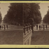 The Mall in Central Park, N.Y.