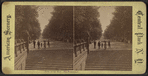 View on the Mall - the Promenade.