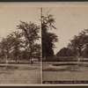 The Mall, Central Park, N.Y.